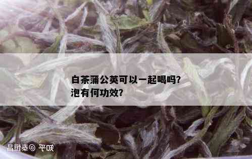 白茶蒲公英可以一起喝吗？泡有何功效？