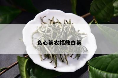 良心茶农福鼎白茶