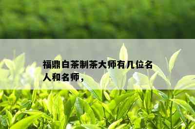 福鼎白茶制茶大师有几位名人和名师，