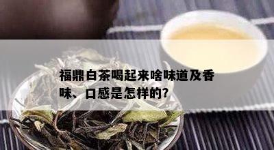 福鼎白茶喝起来啥味道及香味、口感是怎样的？