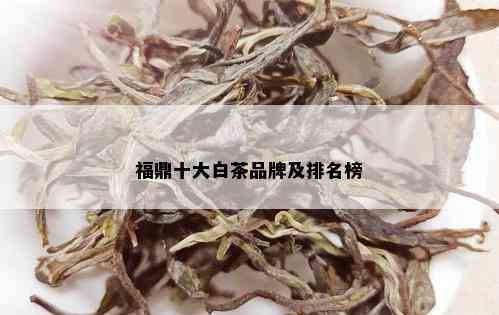 福鼎十大白茶品牌及排名榜