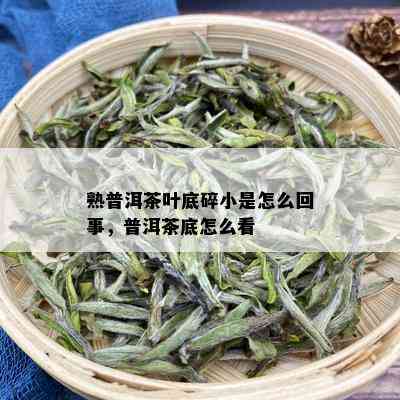 熟普洱茶叶底碎小是怎么回事，普洱茶底怎么看