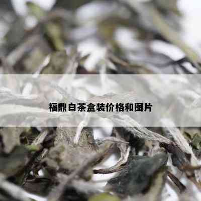 福鼎白茶盒装价格和图片