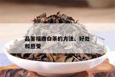 品鉴福鼎白茶的方法、好处和感受