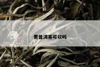 煮普洱茶可以吗