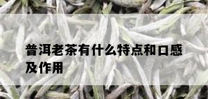 普洱老茶有什么特点和口感及作用