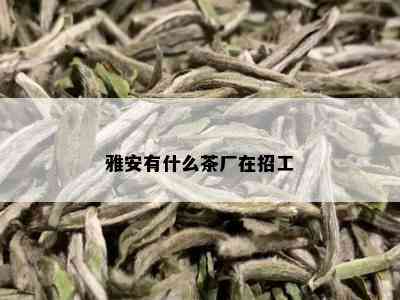 雅安有什么茶厂在招工