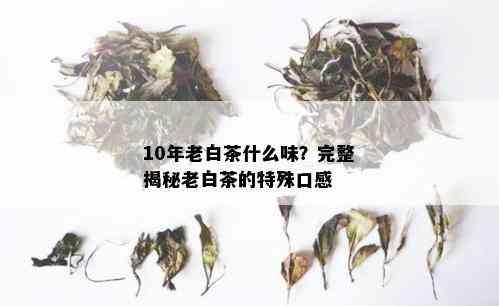 10年老白茶什么味？完整揭秘老白茶的特殊口感