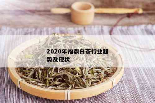 2020年福鼎白茶行业趋势及现状