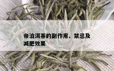 帝泊洱茶的副作用、禁忌及减肥效果