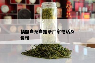 福鼎白茶白露茶厂家电话及价格