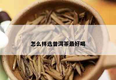 怎么样选普洱茶更好喝