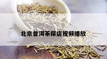 北京普洱茶探店视频播放