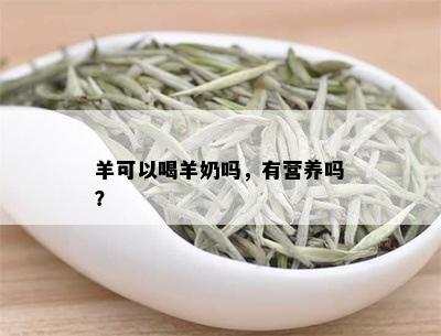 羊可以喝羊奶吗，有营养吗？