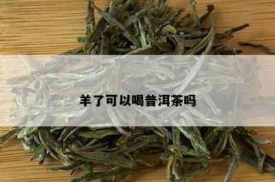 羊了可以喝普洱茶吗