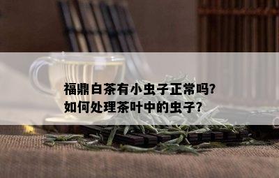 福鼎白茶有小虫子正常吗？如何处理茶叶中的虫子？