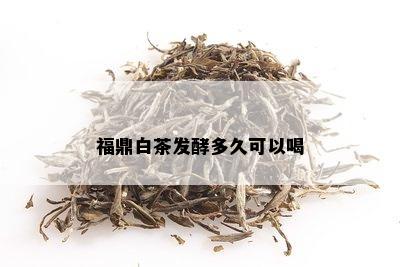 福鼎白茶发酵多久可以喝