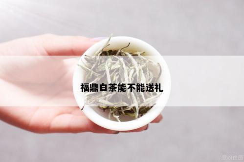 福鼎白茶能不能送礼