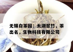 无锡白茶园：太湖翠竹，茶出名，生物科技有限公司