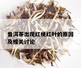 普洱茶出现红梗红叶的原因及相关讨论