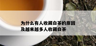 为什么有人收藏白茶的原因及越来越多人收藏白茶