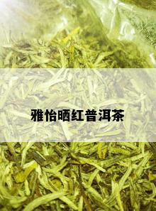 雅怡晒红普洱茶