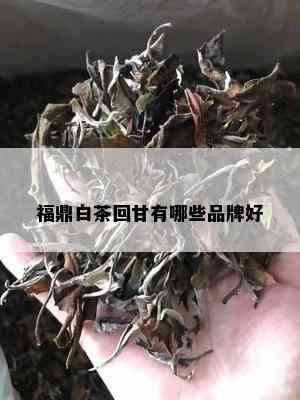 福鼎白茶回甘有哪些品牌好