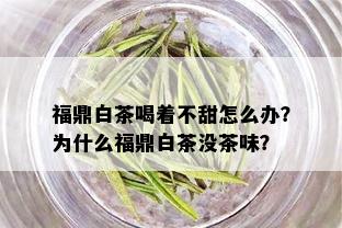 福鼎白茶喝着不甜怎么办？为什么福鼎白茶没茶味？