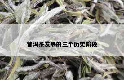 普洱茶发展的三个历史阶段