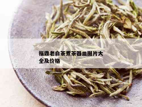 福鼎老白茶煮茶器皿图片大全及价格