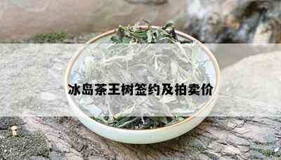 冰岛茶王树签约及拍卖价