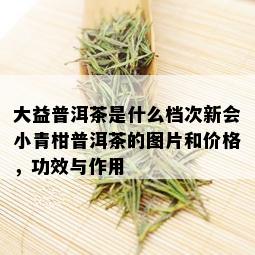 大益普洱茶是什么档次新会小青柑普洱茶的图片和价格，功效与作用