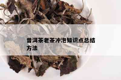 普洱茶老茶冲泡知识点总结方法