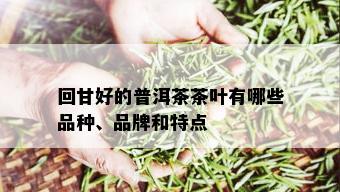 回甘好的普洱茶茶叶有哪些品种、品牌和特点