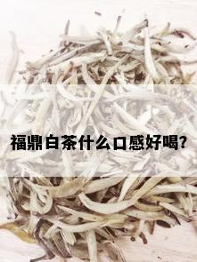 福鼎白茶什么口感好喝？