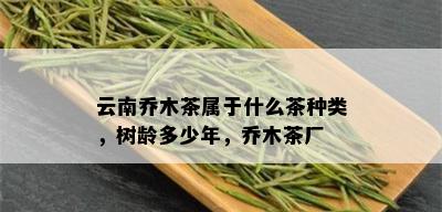 云南乔木茶属于什么茶种类，树龄多少年，乔木茶厂