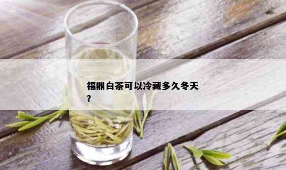 福鼎白茶可以冷藏多久冬天？