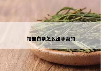 福鼎白茶怎么出手卖的