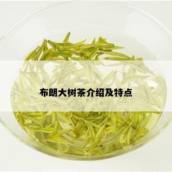 布朗大树茶介绍及特点