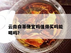 云南白茶便宜吗值得买吗能喝吗？