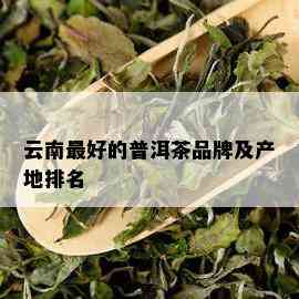 云南更好的普洱茶品牌及产地排名