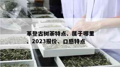 革登古树茶特点、属于哪里、2023报价、口感特点