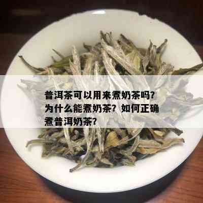 普洱茶可以用来煮奶茶吗？为什么能煮奶茶？如何正确煮普洱奶茶？