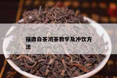 福鼎白茶沏茶教学及冲饮方法