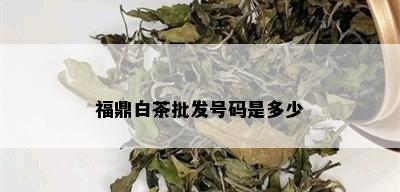 福鼎白茶批发号码是多少