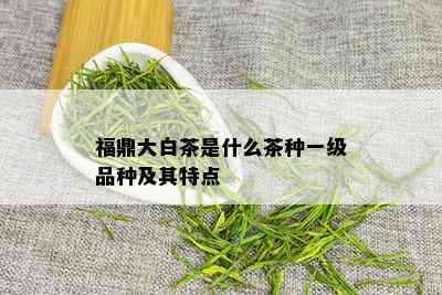 福鼎大白茶是什么茶种一级品种及其特点