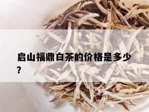 启山福鼎白茶的价格是多少？