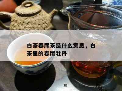 白茶春尾茶是什么意思，白茶里的春尾牡丹