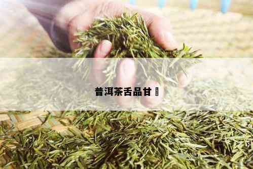 普洱茶舌品甘涊