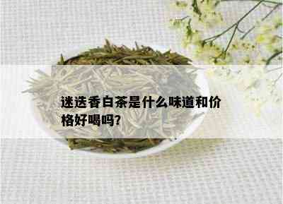 迷迭香白茶是什么味道和价格好喝吗？